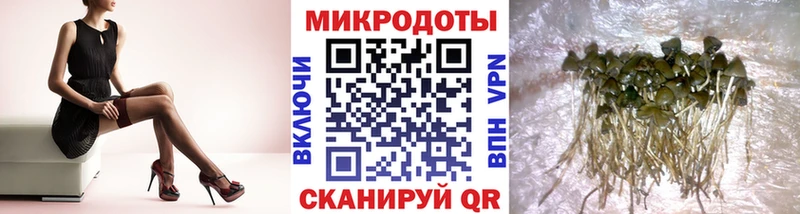 Псилоцибиновые грибы ЛСД  Трёхгорный 